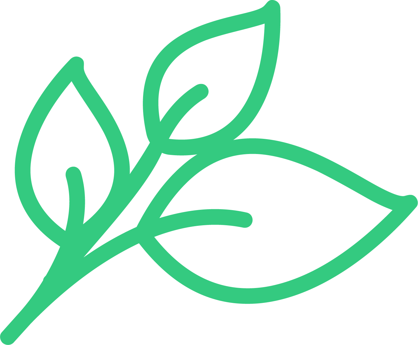 hoja verde