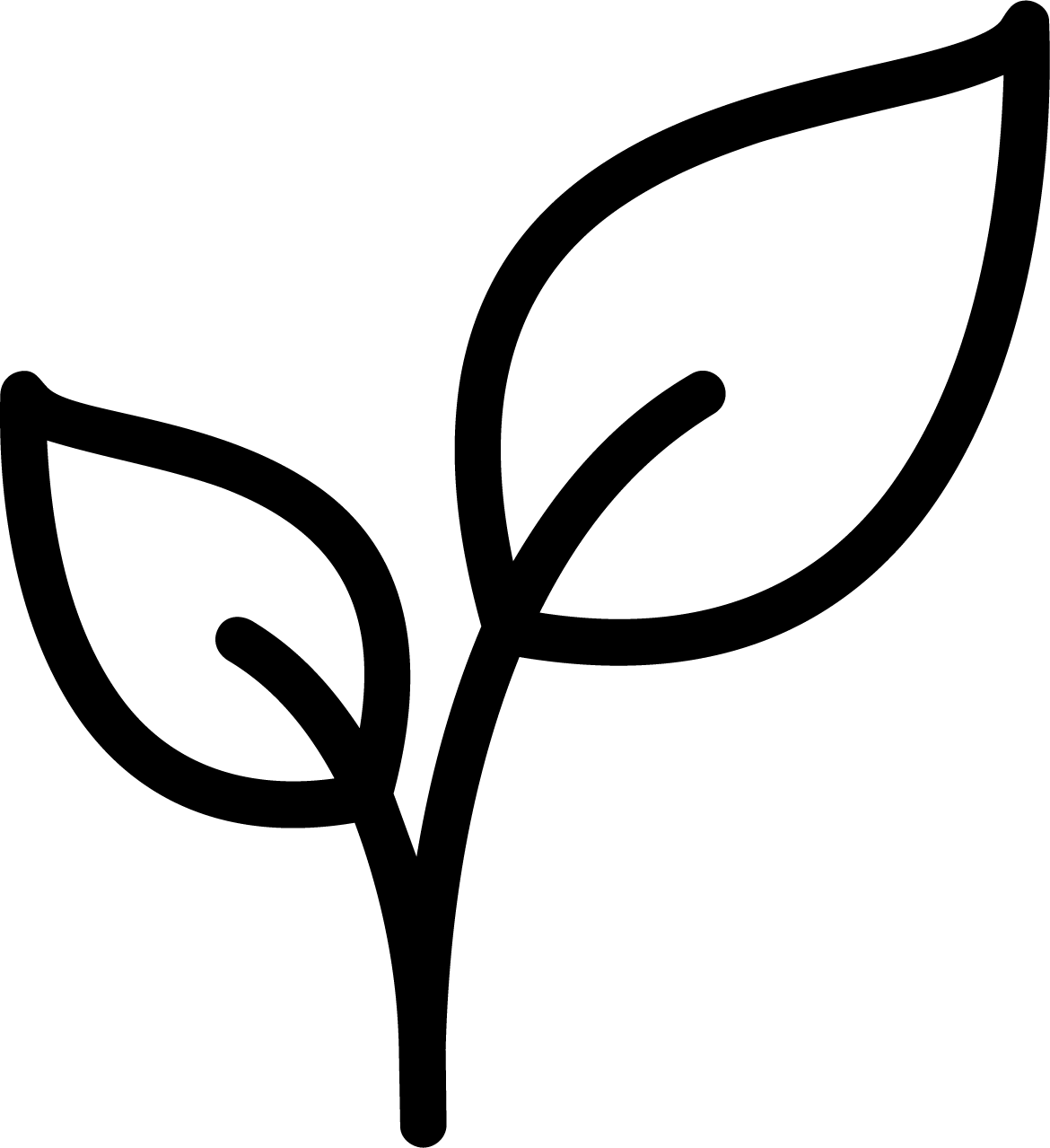 regeneración